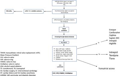 Current Devices and Complications Related to Transcatheter Mitral Valve Replacement: The Bumpy Road to the Top